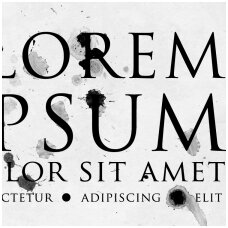 Naujausias straipsnis Naujausias straipsnis